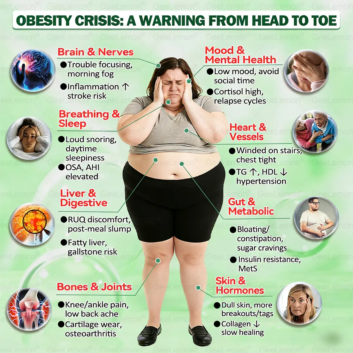 ๐๐๐๐๐๐๐๐ยฎ ๐๐๐๐+๐
๐๐
๐๐ ๐๐๐ซ๐๐๐ฅ ๐๐ข๐จ๐๐จ๐จ๐ฌ๐ญ ๐๐๐ง๐จ ๐๐ข๐๐ซ๐จ๐ง๐๐๐๐ฅ๐ ๐๐๐ญ๐๐ก