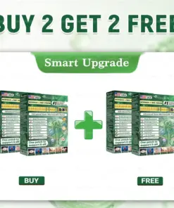 ๐๐๐๐๐๐ฆ๐จ๐งยฎ Moringa ยท Berberine ร NAD+ ๐๐-๐ข๐ง-๐ ๐๐๐ฏ๐๐ง๐๐๐ ๐๐๐ง๐จ ๐๐ข๐๐ซ๐จ๐ง๐๐๐๐ฅ๐ ๐๐๐ญ๐๐ก