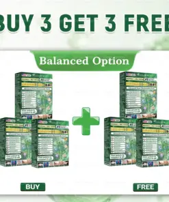 ๐๐๐๐๐๐ฆ๐จ๐งยฎ Moringa ยท Berberine ร NAD+ ๐๐-๐ข๐ง-๐ ๐๐๐ฏ๐๐ง๐๐๐ ๐๐๐ง๐จ ๐๐ข๐๐ซ๐จ๐ง๐๐๐๐ฅ๐ ๐๐๐ญ๐๐ก